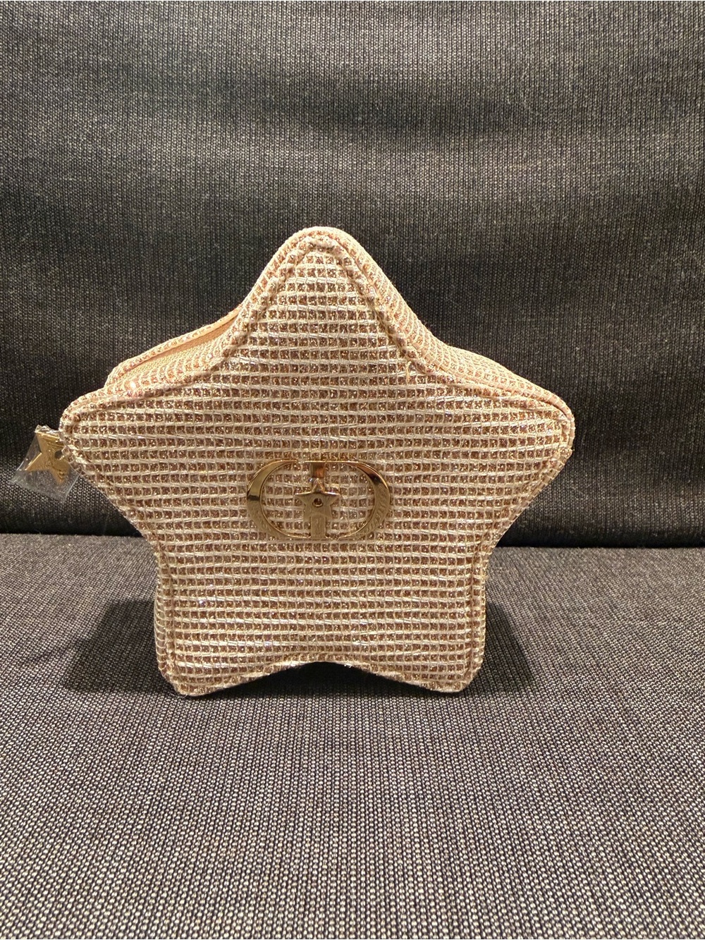 Brand New Dior Star Glitter Cosmetic Pouch